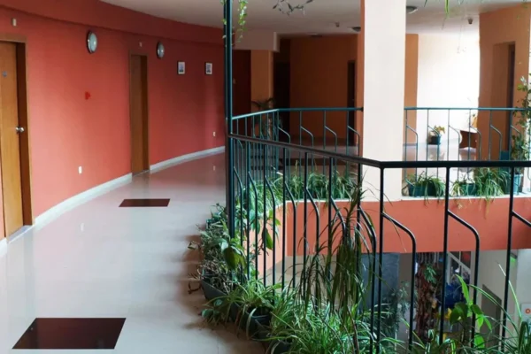 Hotel Flamingo Beach - obrazek 8