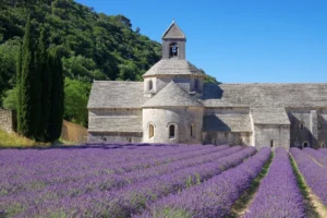 Opactwo Senanque, Francja