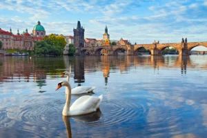 Praga - Walentynki